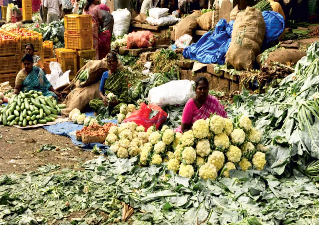 vegetable retailing mandi 1024x724 1 17